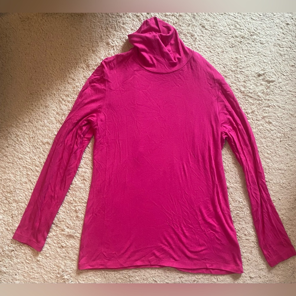 5/$20 Ellen Tracy turtle neck top